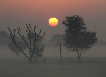 Weather in MP