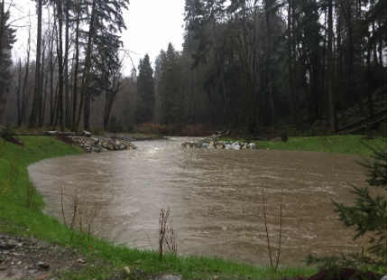 Port Alberni Flood