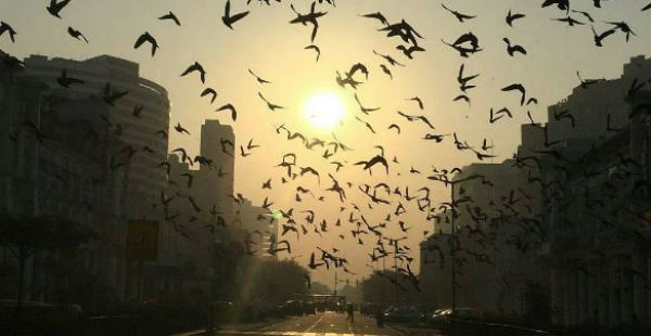 Delhi recorded season’s lowest minimum temperature of 8.4°C today