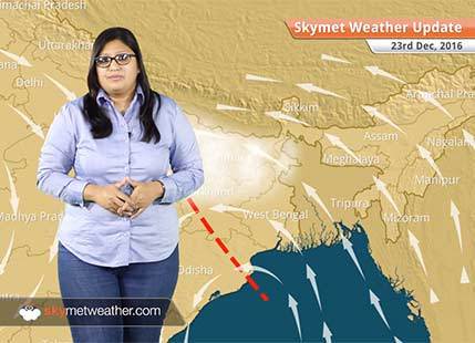 Weather Forecast for Dec 23: Fog in East UP, Bihar, comfortable weather in Delhi