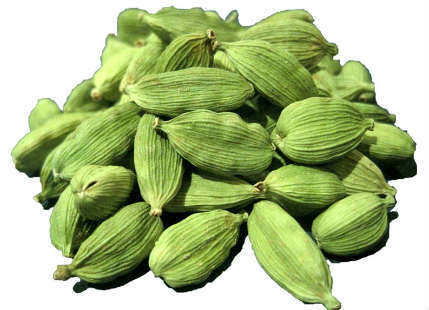 Cardamom