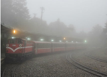 Fog in India