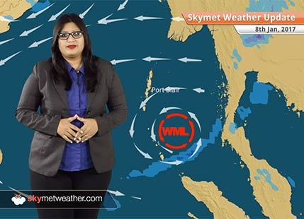 Weather Forecast for Jan 8: Snow in Kashmir, Himachal, Rain in Punjab, Delhi