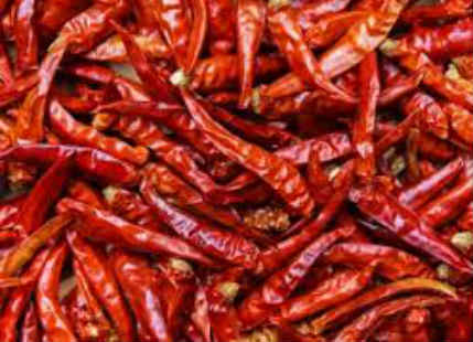 Red Chilli