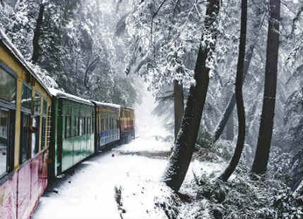 IN PICS: Blanket of snow makes Shimla the dream destination