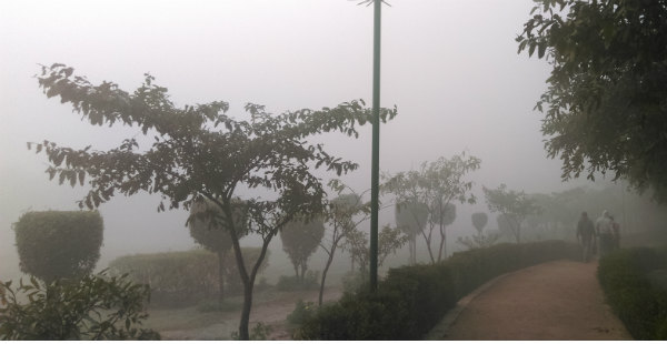 Delhi fog and winter