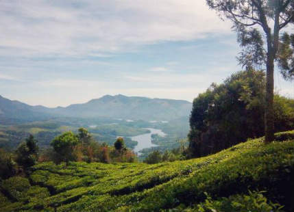 Light rain in Kerala won’t mellow off the humid weather