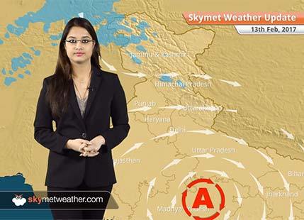 Weather Forecast for Feb 13: Warm days in Northwest India; Rain in TN, Chennai