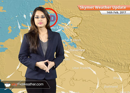 Weather Forecast for Feb 14: Snow in Kashmir, Himachal; Rain in TN, Kerala