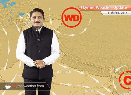 Weather Forecast for Feb 11: Rain in East MP, Vidarbha, clear weather in North India