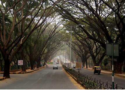 weather in Bangalore