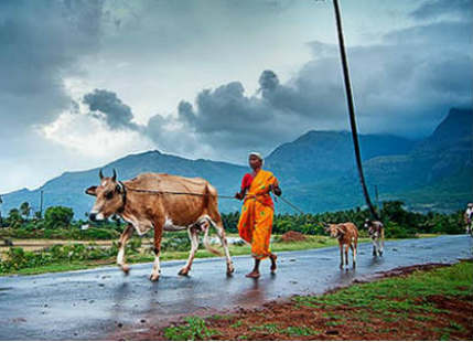 What does Monsoon 2017 hold in store for India