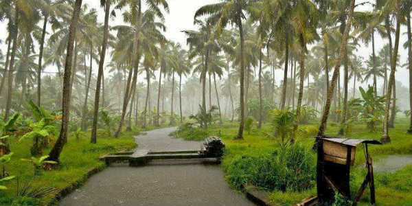 Rain in Kerala