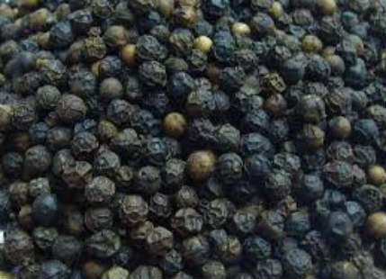 Black Pepper