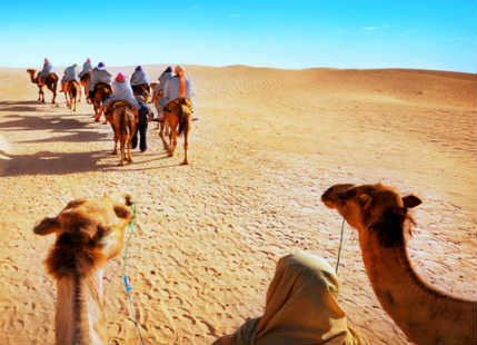 Camel-safari-packages-jaisalmer