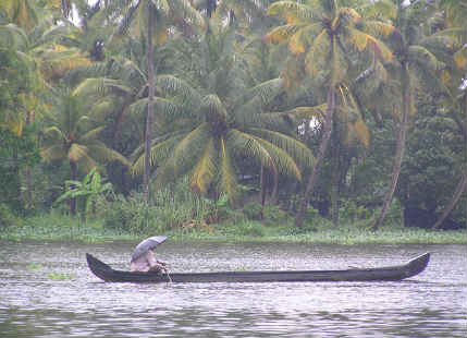 Monsoon in India