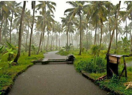 Rain in Kerala