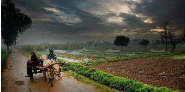 Rain in Uttar Pradesh