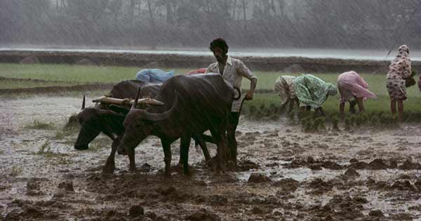 BiharRains