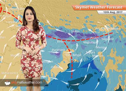 Weather Forecast for Aug 12: Rain in Lucknow, Patna, Kolkata; floods in Assam, UP, Bihar