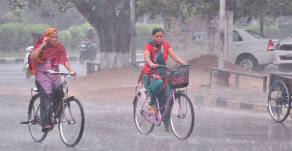 Punjab haryana rain