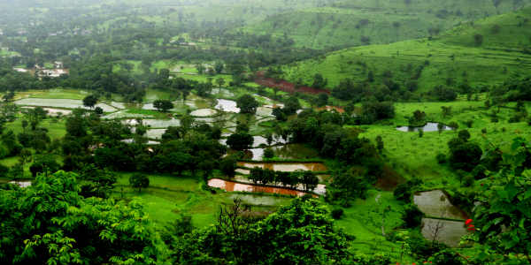 Rain Maharashtra post