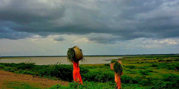 Rain in Maharashtra