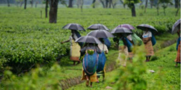 Heavy rains likely over Assam, Meghalaya, Sikkim