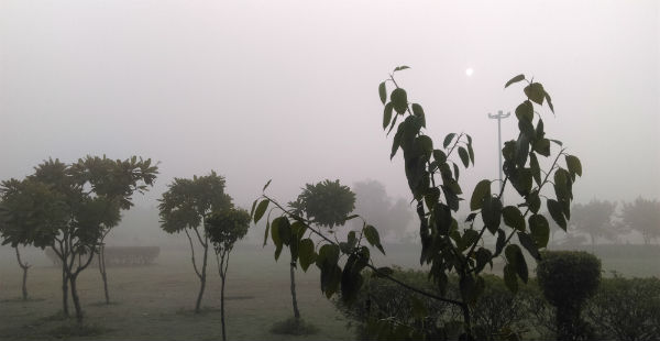 Fog in Punjab Fog in Haryana Smog in Delhi