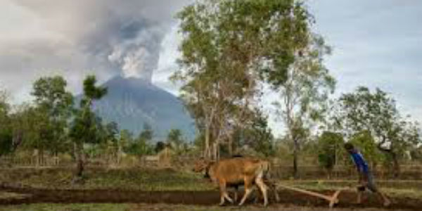 Mount Agung 5