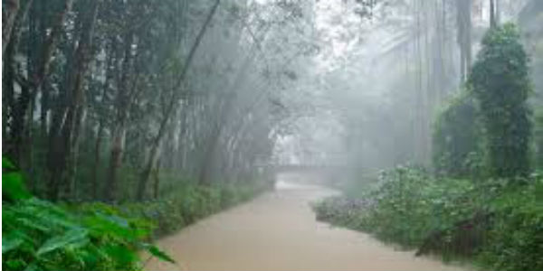 rain in India