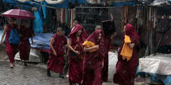 At 84 mm, Dharamsala surpasses monthly rain average in 24 hours