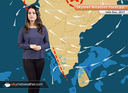 Weather Forecast for Dec 14: Rain, snow in Kashmir, Himachal; Dense fog in Punjab, Haryana, Rajasthan