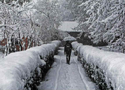 SRinagar Shimla