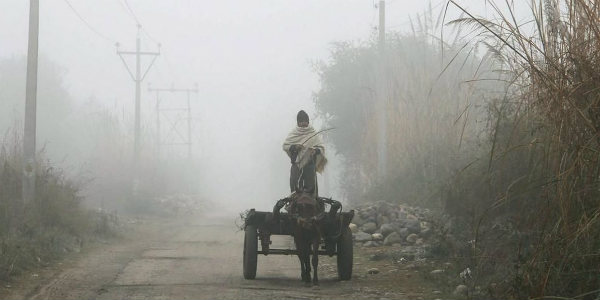 Dense fog to persist over Punjab, Haryana, Delhi, UP, Bihar