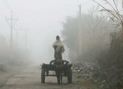 Dense fog to persist over Punjab, Haryana, Delhi, UP, Bihar