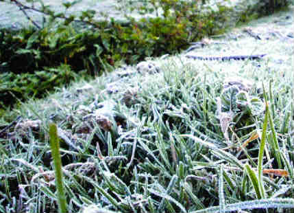 Ground Frost In north India