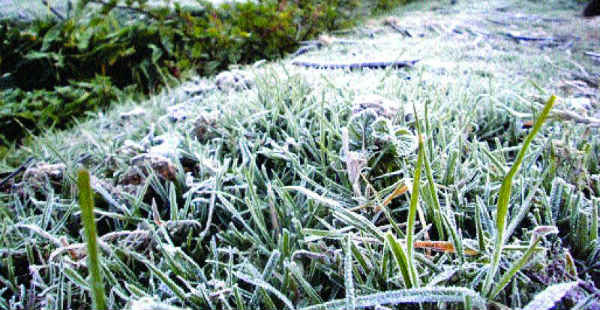 Ground Frost In north India