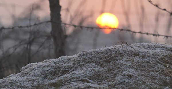 Ground frost in Haryanaa and Rajasthan