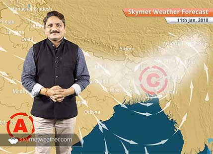 Weather Forecast for Jan 11: Fog in UP, Bihar, Chilly nights in MP, Chhattisgarh