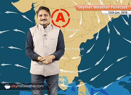 Weather Forecast for Jan 12: Dense Fog in East Uttar Pradesh, Bihar, minimums to increase in MP, Chhattisgarh