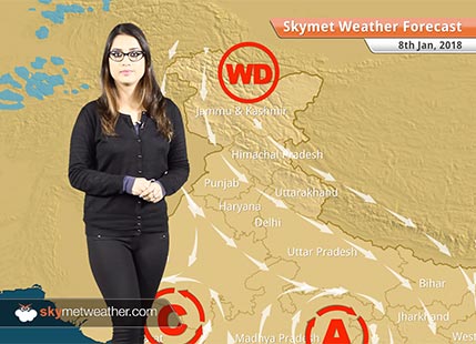 Weather Forecast for Jan 8: Fog in Punjab, Haryana, Delhi, Rajasthan, UP, Rain in Andaman, Tamil Nadu