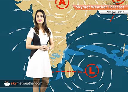 Weather Forecast for Jan 9: Fog to reduce in Punjab, Haryana, UP, Rain in TN, Chennai