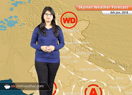 Weather Forecast for Jan 8: Rain in Andaman, Tamil Nadu, Fog in Punjab, Haryana, Delhi, Rajasthan, Uttar Pradesh