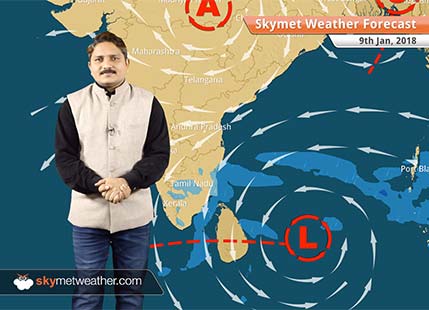 Weather Forecast for Jan 9: Ground frost with cold wave in Haryana, Rajasthan, UP, Rain in TN