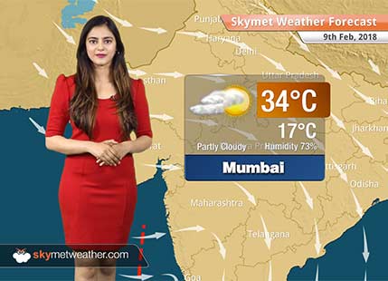 Weather Forecast for Feb 9: Rain in Assam, Arunachal, Tamil Nadu and Kerala