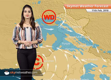 Weather Forecast for Feb 11: Rain, snow in Kashmir, Himachal, Rain in Delhi, Chandigarh, Lucknow, Jaipur