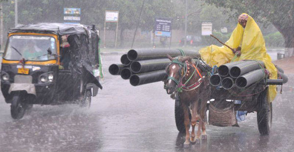 Rain in Punjab, haryana, rajasthan