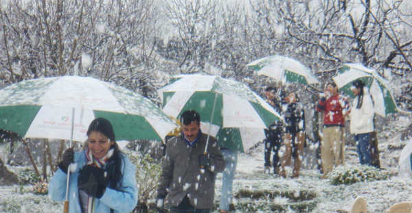 Snowfall-shimla_Ahataxis 600