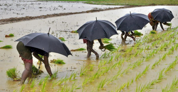 Monsoon in India 2018